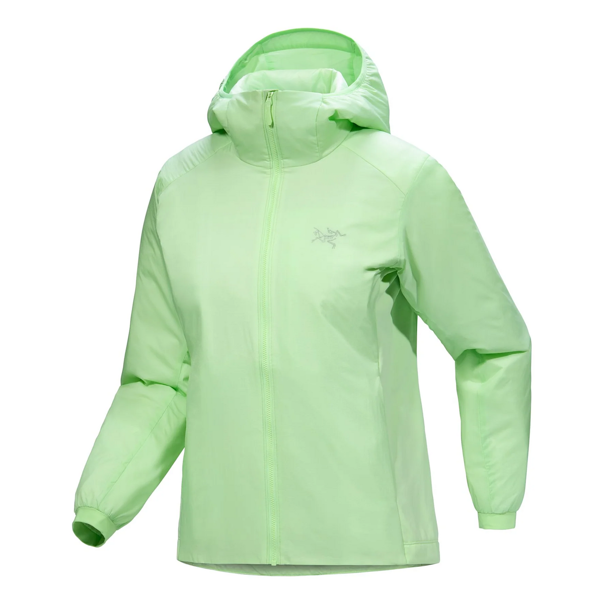 Atom-Kapuzenpullover „Grün“