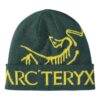 Bird Word Toque „Lampyre Pytheas“
