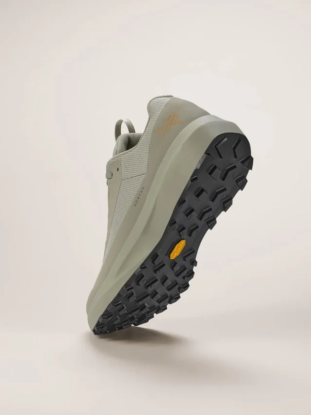 Norvan LD 4 GTX Herrenschuh