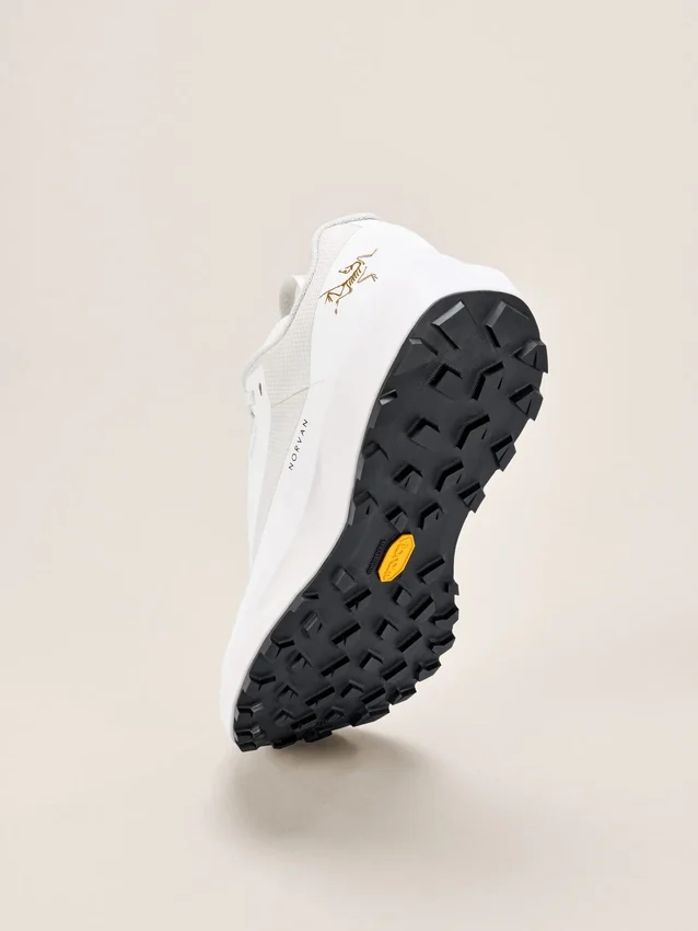Norvan LD 4 GTX Herrenschuh