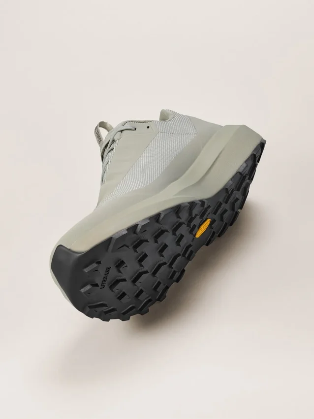 Norvan LD 4 GTX Herrenschuh