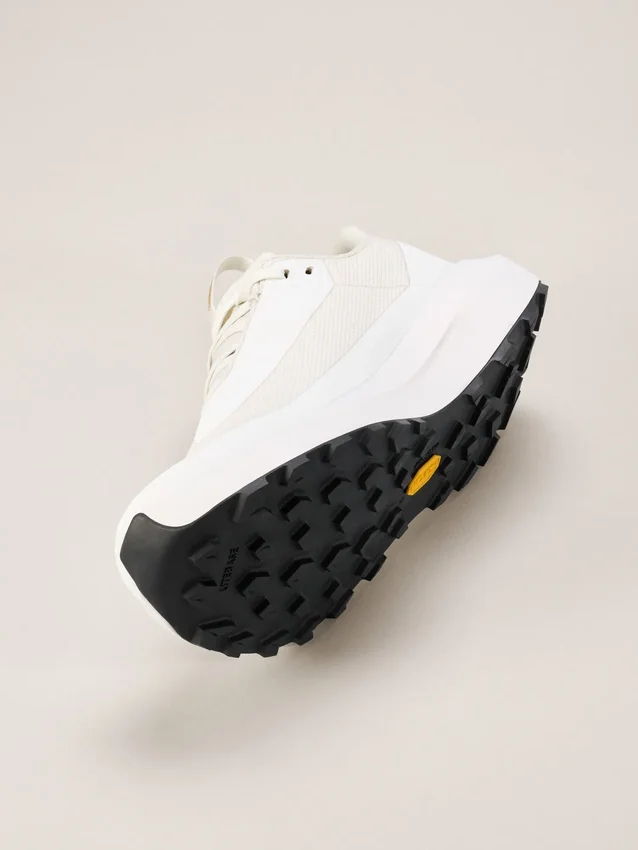 Norvan LD 4 GTX Herrenschuh
