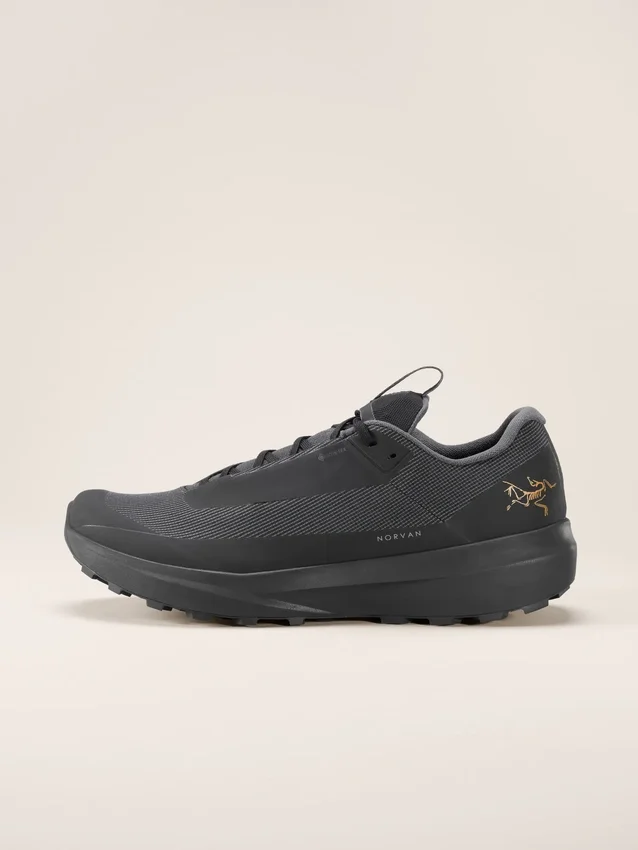 Norvan LD 4 GTX Schuh Herren