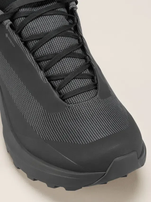 Norvan LD 4 GTX Schuh Herren