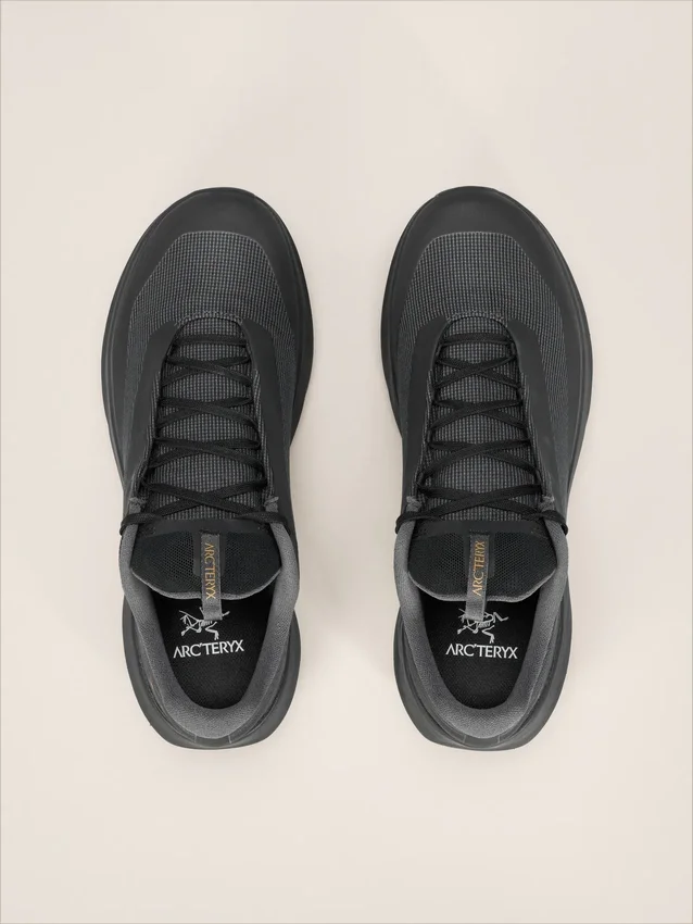 Norvan LD 4 GTX Schuh Herren