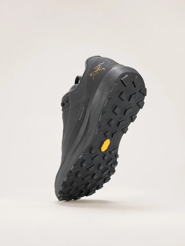 Norvan LD 4 GTX Schuh Herren
