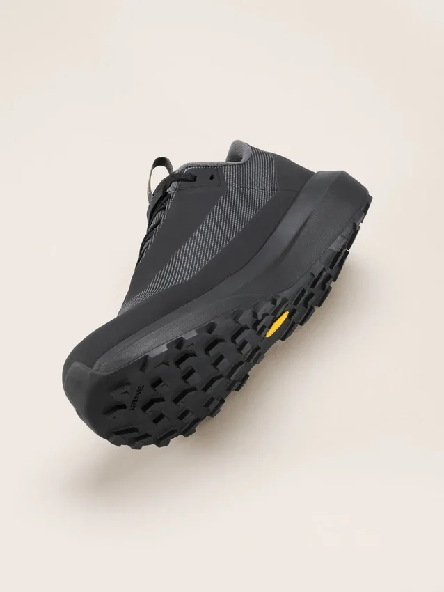 Norvan LD 4 GTX Schuh Herren