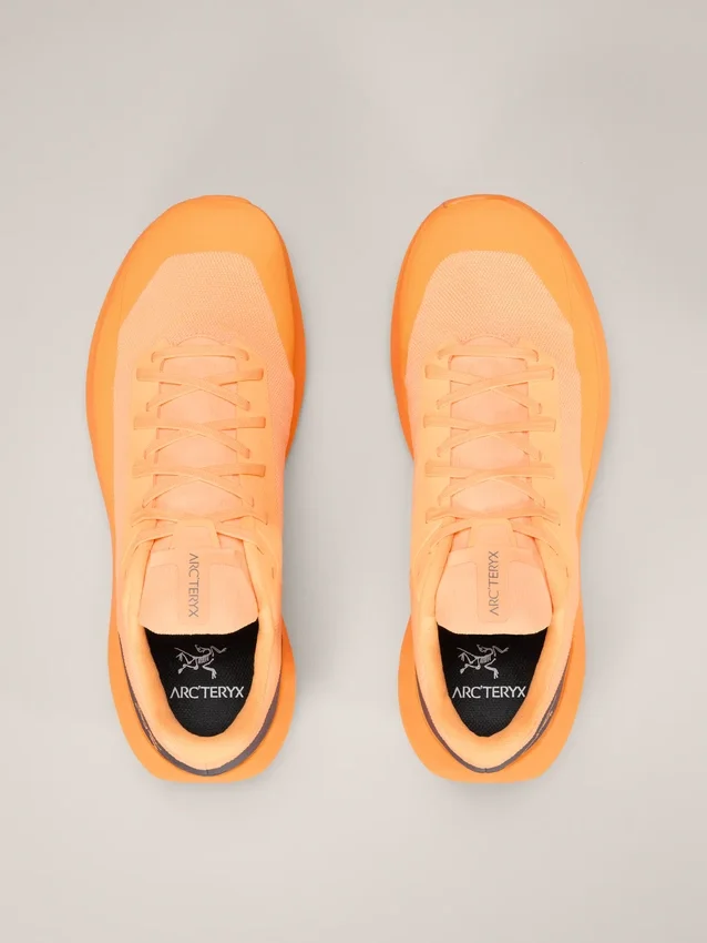 Norvan LD 4 Schuh Herren