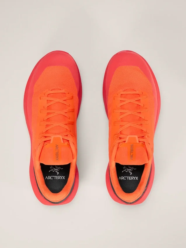 Norvan LD 4 Schuh Herren