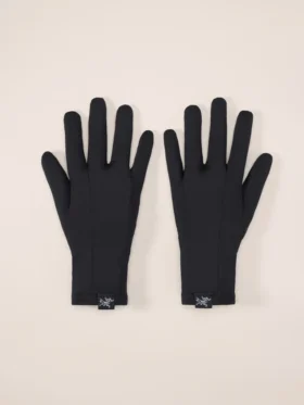 Rho-Handschuh
