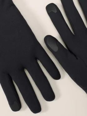 Rho-Handschuh
